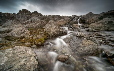 _D106809_webx