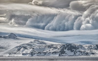 _D136602_webx
