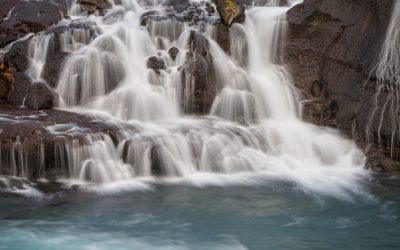 _D847377_webx