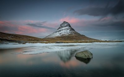 _D847585_webx