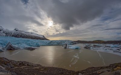 _D848135_webx1