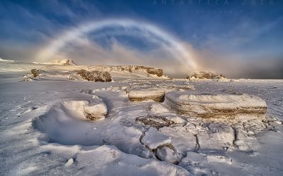 _D894219_webx