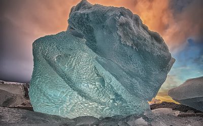 _D899606_webx2
